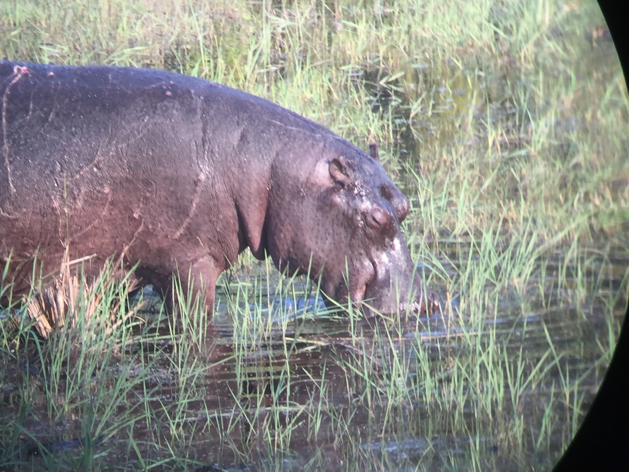 [27954] 2016_07_02_08_43_08_Africa_iPhone_6_IMG_8730_00654.jpg