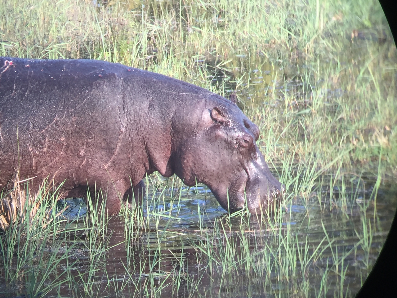 [27957] 2016_07_02_08_43_11_Africa_iPhone_6_IMG_8731_00655.jpg