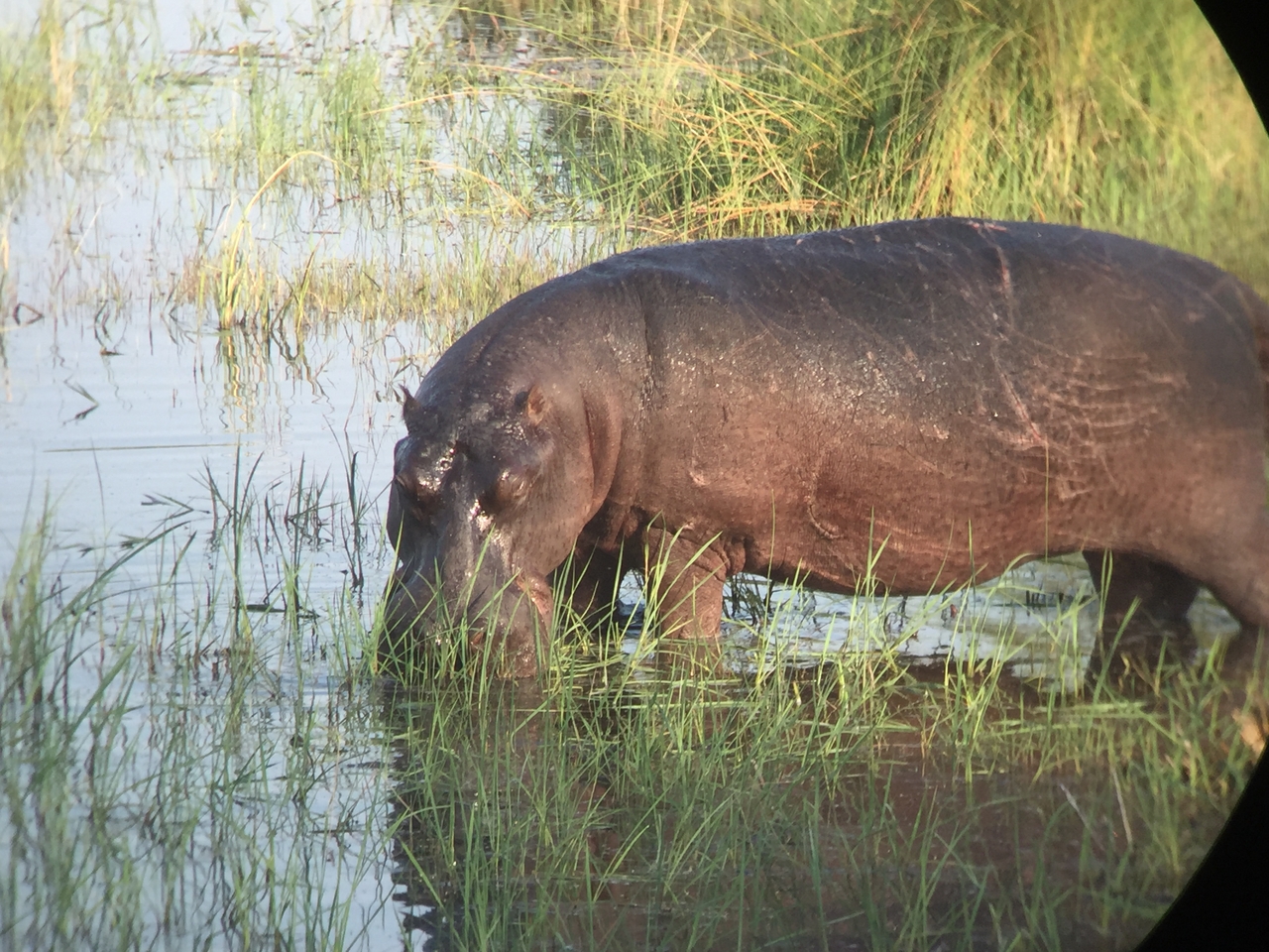 [27964] 2016_07_02_08_44_54_Africa_iPhone_6_IMG_8733_01239.jpg