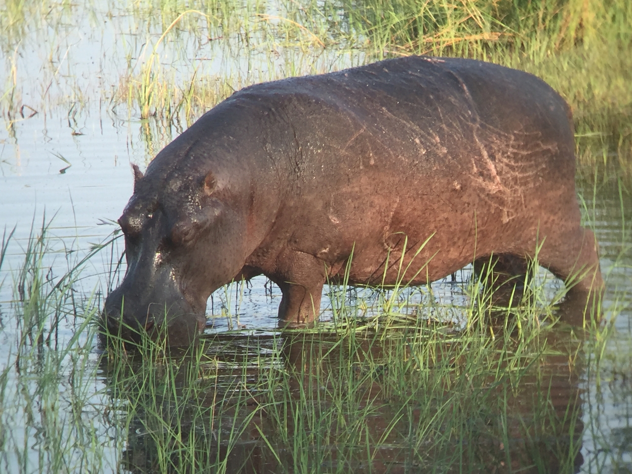 [27986] 2016_07_02_08_45_14_Africa_iPhone_6_IMG_8740_03587.jpg