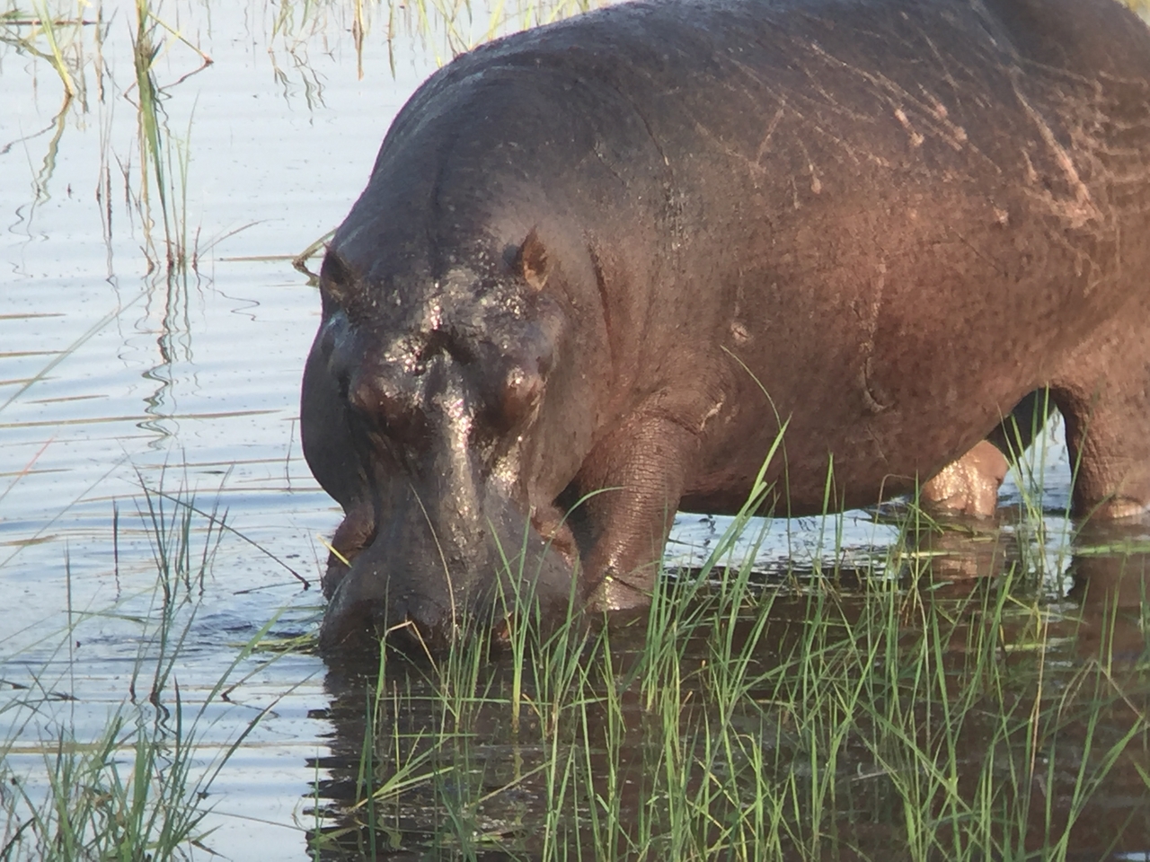 [27999] 2016_07_02_08_45_29_Africa_iPhone_6_IMG_8745_00669.jpg