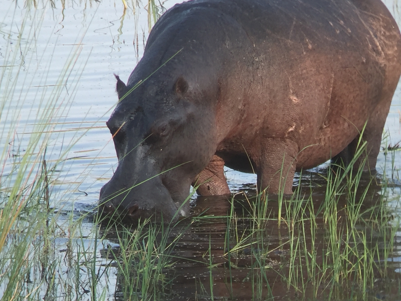 [28004] 2016_07_02_08_45_34_Africa_iPhone_6_IMG_8746_03593.jpg