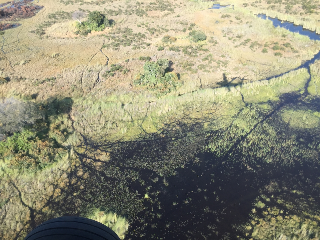 [28075] 2016_07_02_09_25_08_Africa_iPhone_6_IMG_8756_01262.jpg