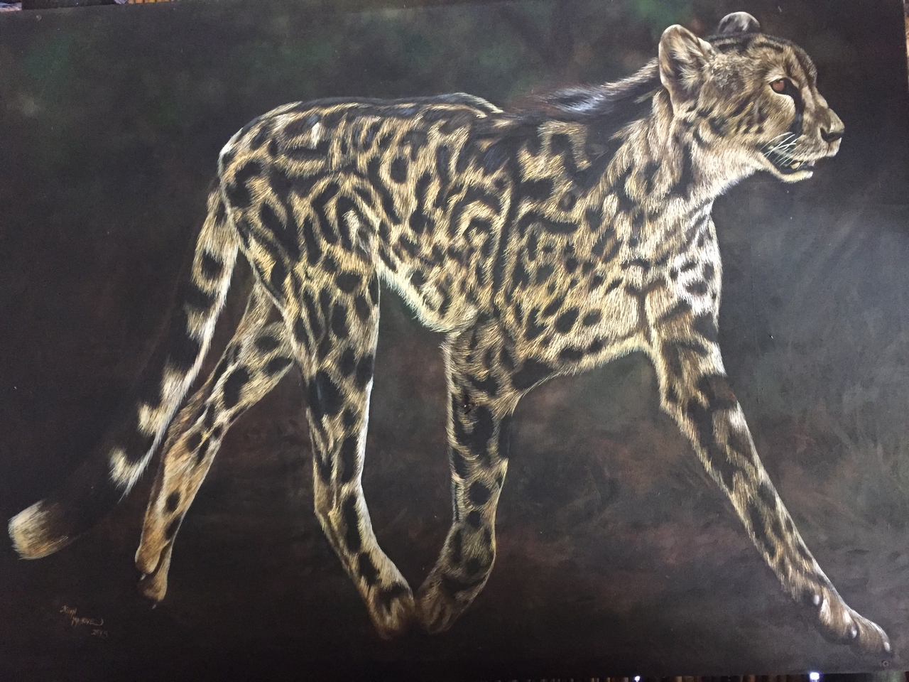 [28744] 2016_07_02_14_20_08_Africa_iPhone_6_IMG_8776_01278.jpg