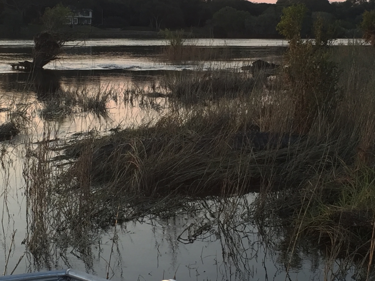 [28829] 2016_07_02_17_35_58_Africa_iPhone_6_IMG_8781_03621.jpg