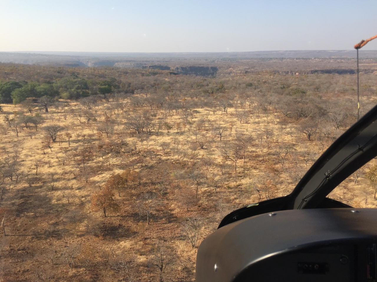 [31294] 2016_07_03_08_35_45_Africa_iPhone_6_IMG_8794_01292.jpg