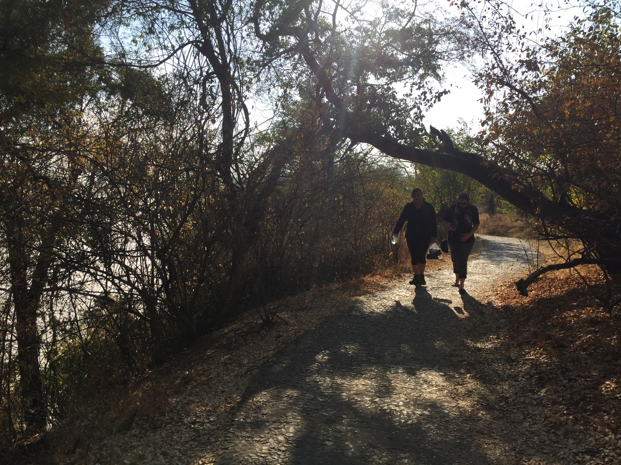 [32673] 2016_07_03_15_58_15_Africa_iPhone_6_IMG_8935_03748.jpg