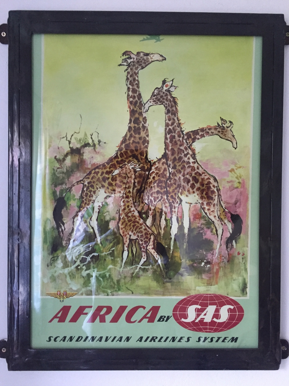 [32710] 2016_07_03_17_04_45_Africa_iPhone_6_IMG_8945_01417.jpg