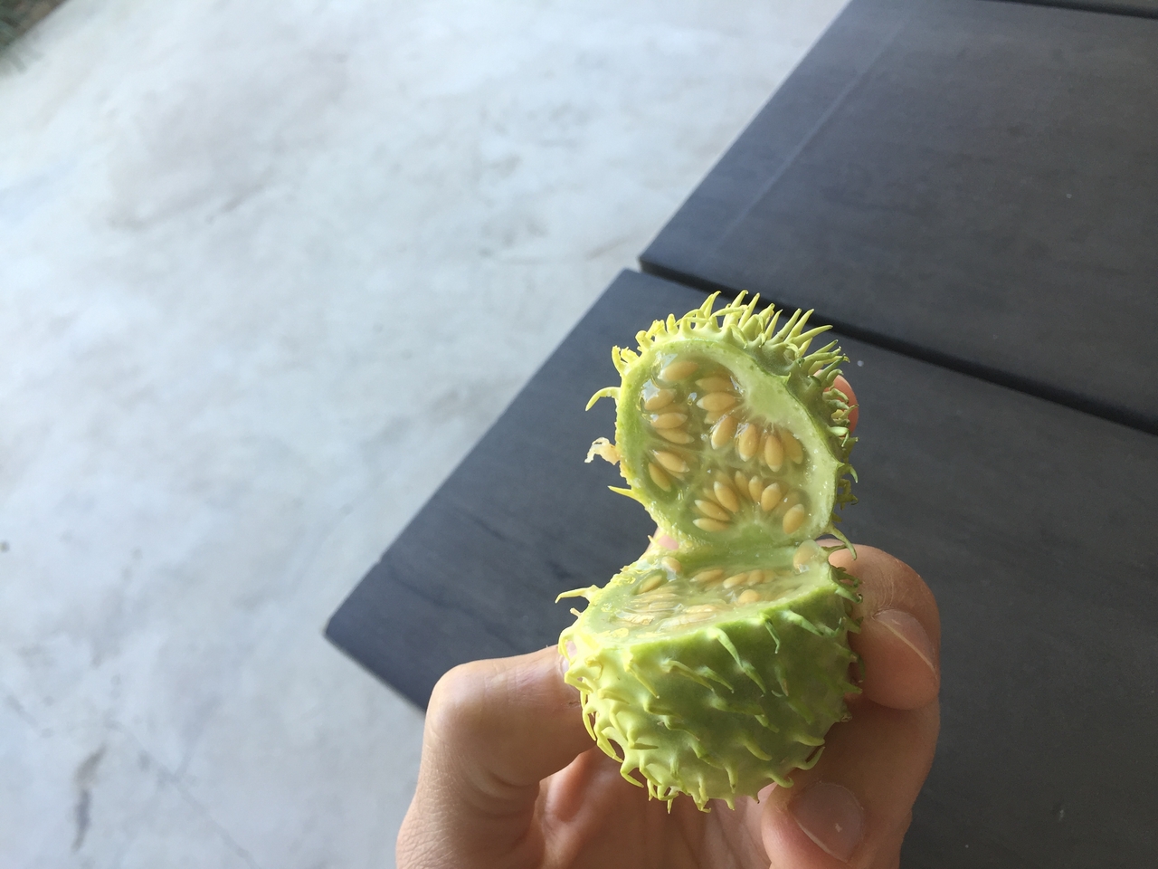 [34290] 2016_07_04_13_32_43_Africa_iPhone_6_IMG_8981_03786.jpg