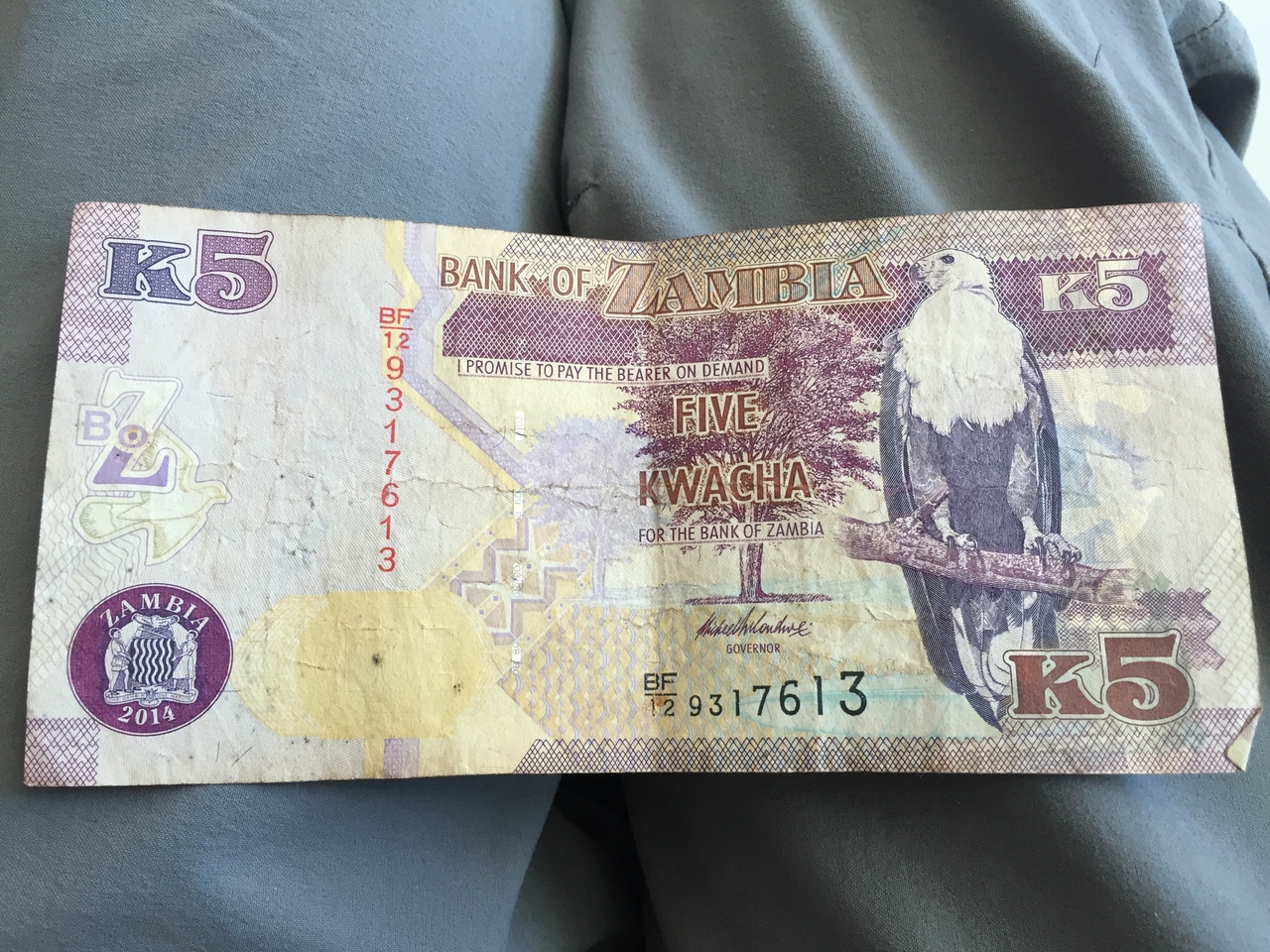 [34493] 2016_07_05_12_20_46_Africa_iPhone_6_IMG_9065_00046.jpg