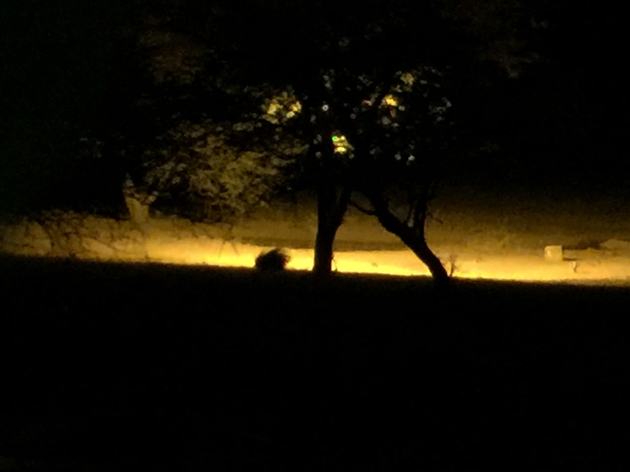 [404] 2016_06_21_20_45_29_Africa_iPhone_6_Plus_IMG_3398_06673.jpg