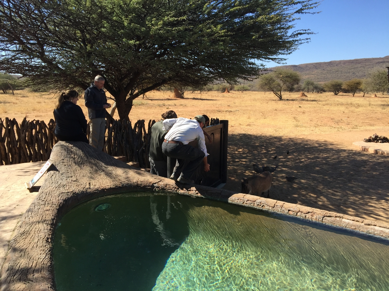 [2584] 2016_06_22_10_58_34_Africa_iPhone_6_Plus_IMG_3423_06697.jpg