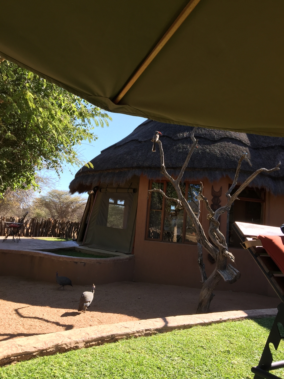 [3531] 2016_06_22_13_43_02_Africa_iPhone_6_Plus_IMG_3453_06724.jpg