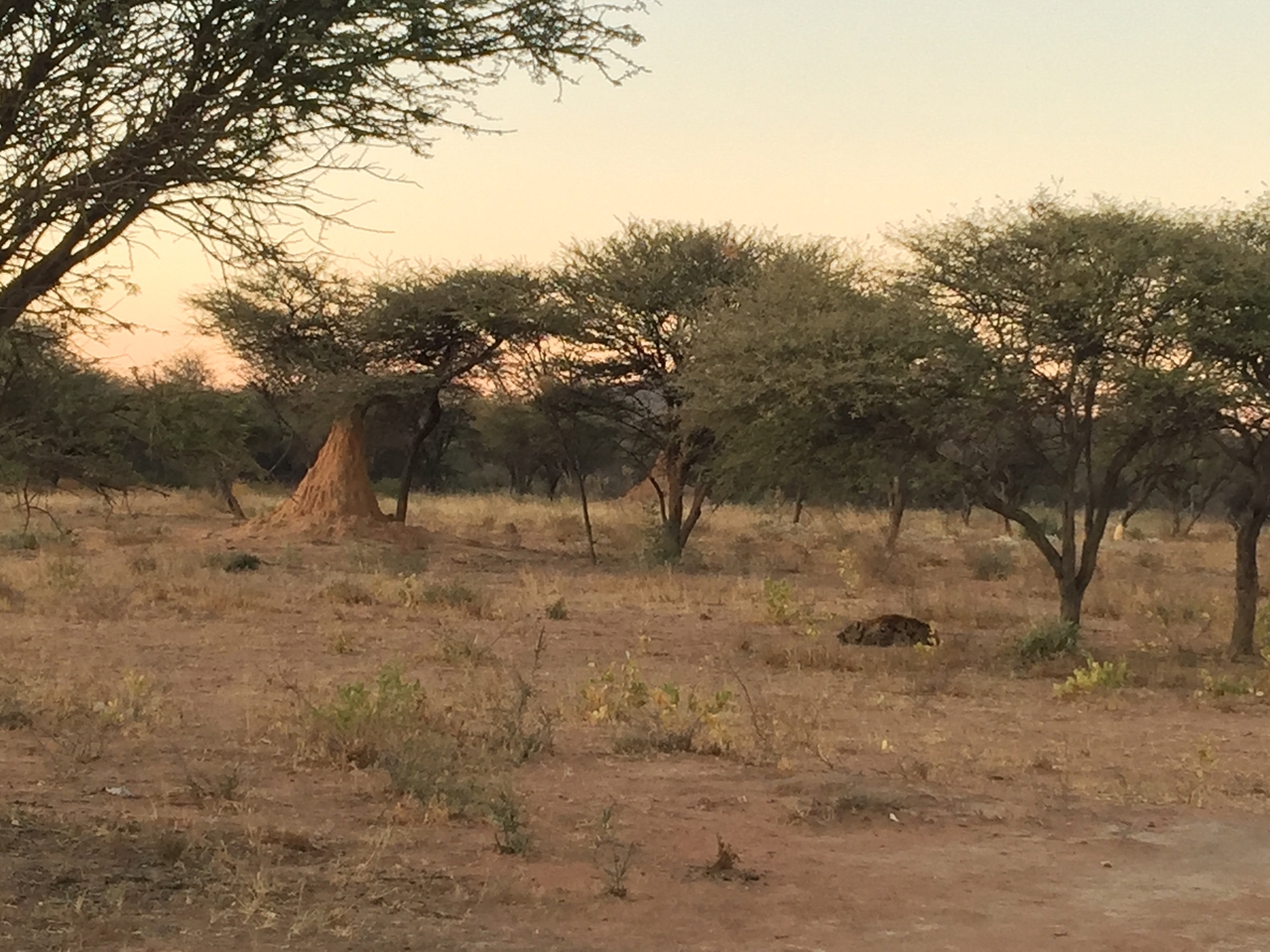 [3684] 2016_06_22_17_17_33_Africa_iPhone_6_Plus_IMG_3489_00156.jpg