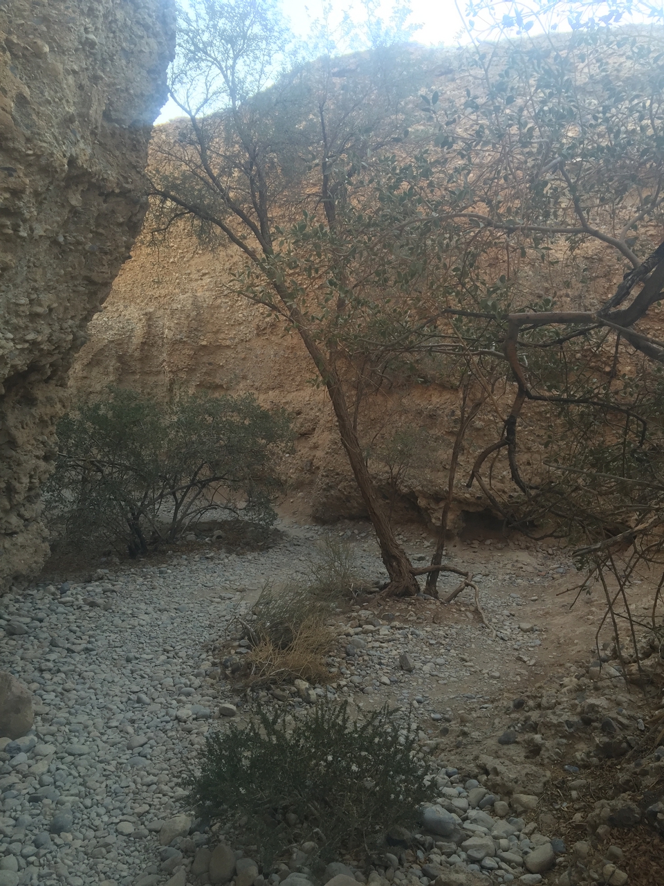 [14143] 2016_06_24_16_36_18_Africa_iPhone_6_Plus_IMG_3606_00232.jpg