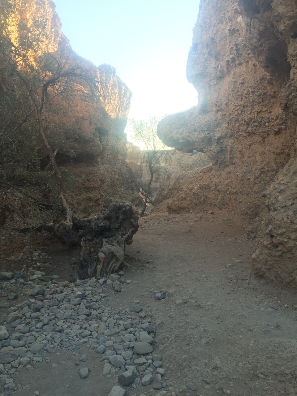 [14152] 2016_06_24_16_37_32_Africa_iPhone_6_Plus_IMG_3607_06817.jpg