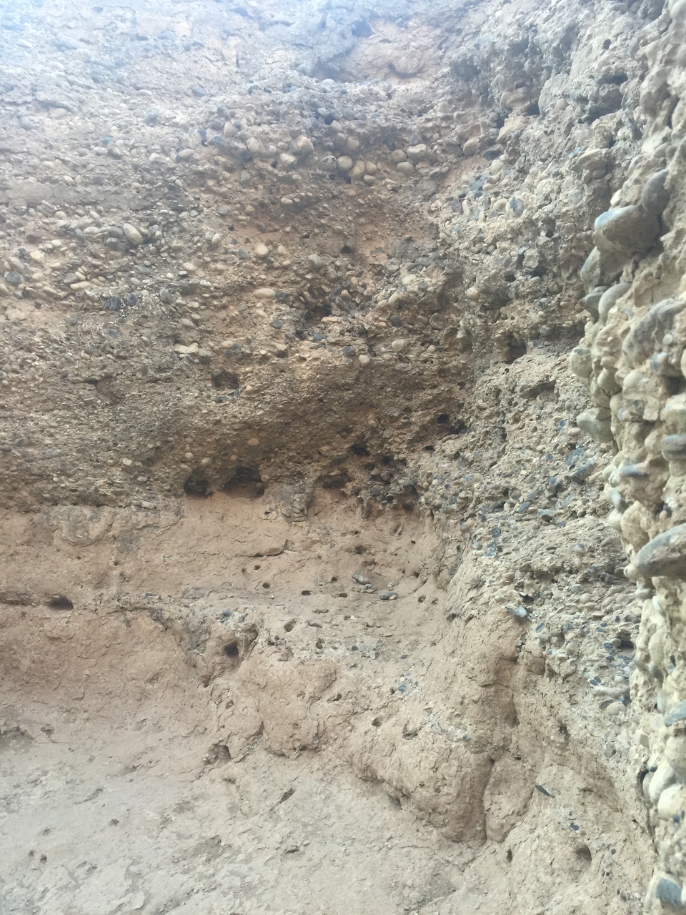 [14174] 2016_06_24_16_40_34_Africa_iPhone_6_Plus_IMG_3612_00237.jpg