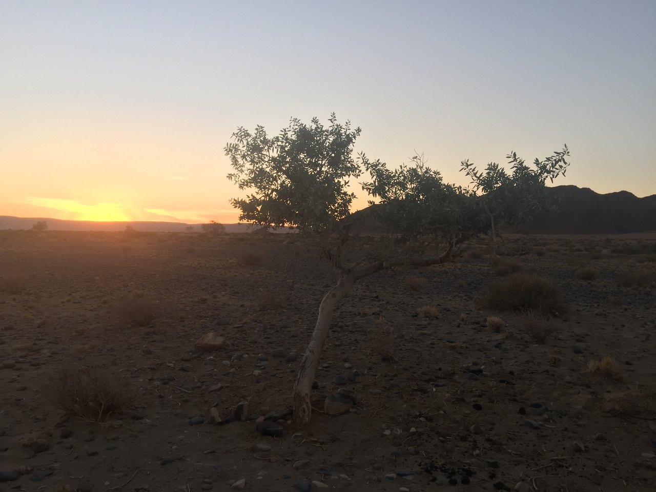 [14290] 2016_06_24_17_14_52_Africa_iPhone_6_Plus_IMG_3636_00253.jpg