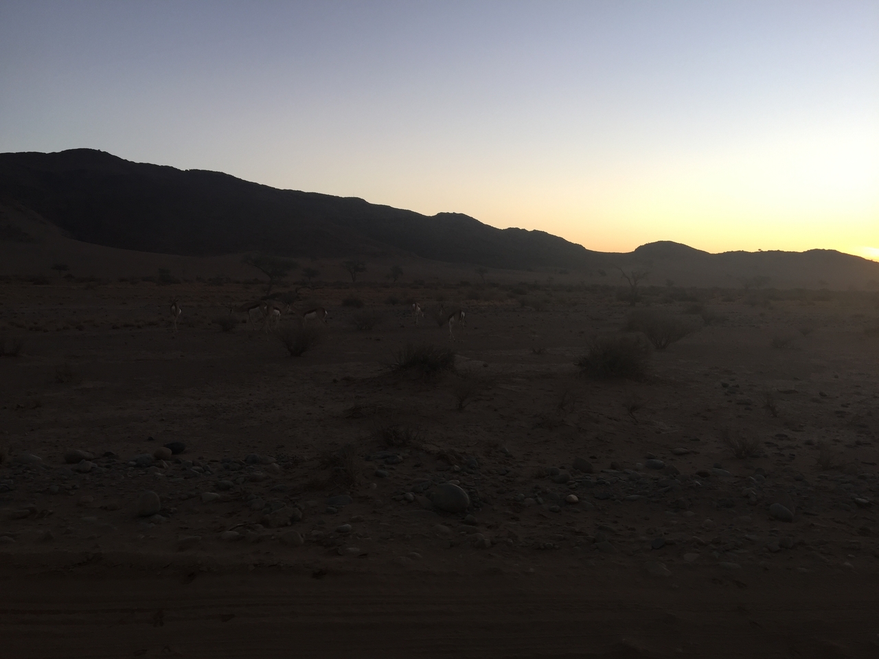 [14320] 2016_06_24_17_20_59_Africa_iPhone_6_Plus_IMG_3640_06841.jpg