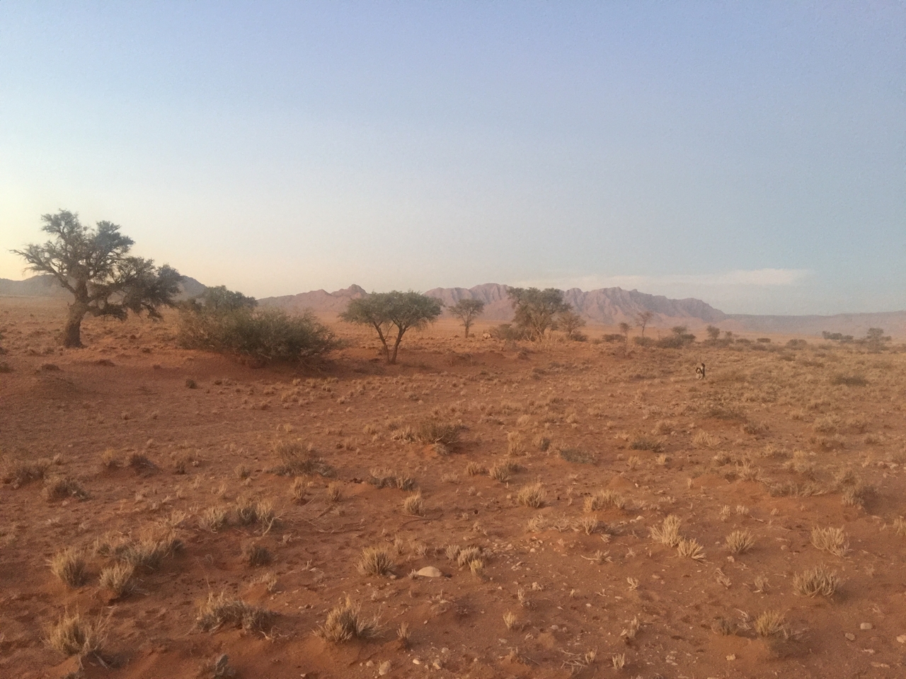 [14342] 2016_06_24_17_35_42_Africa_iPhone_6_Plus_IMG_3649_06849.jpg