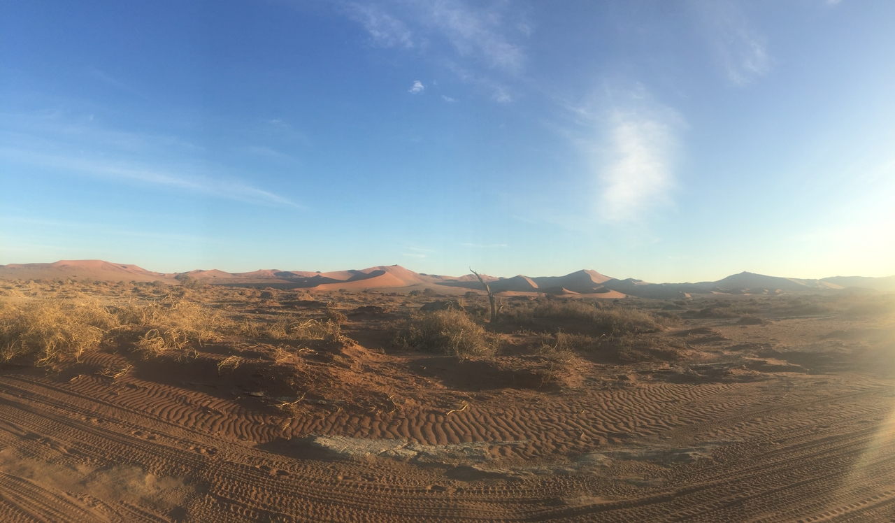 [15478] 2016_06_25_07_20_36_Africa_iPhone_6_Plus_IMG_3674_00285.jpg