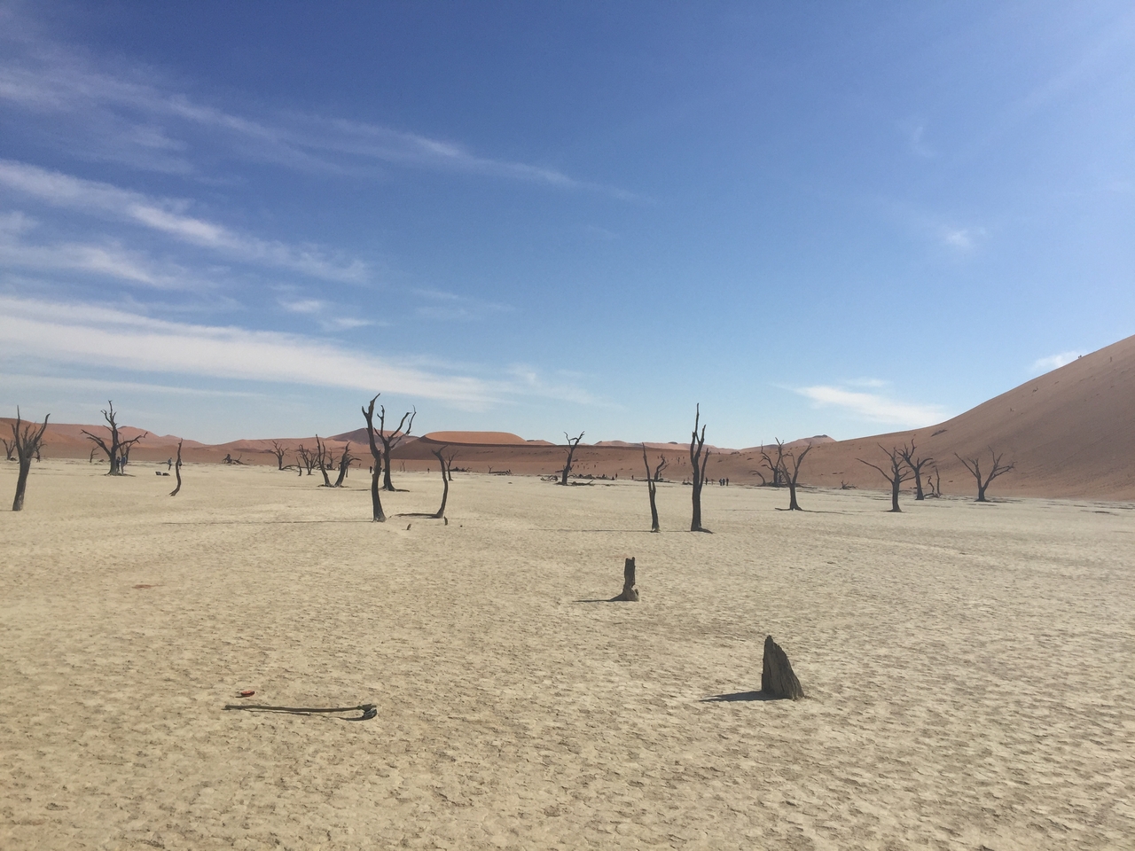 [16118] 2016_06_25_09_59_34_Africa_iPhone_6_Plus_IMG_3685_00296.jpg