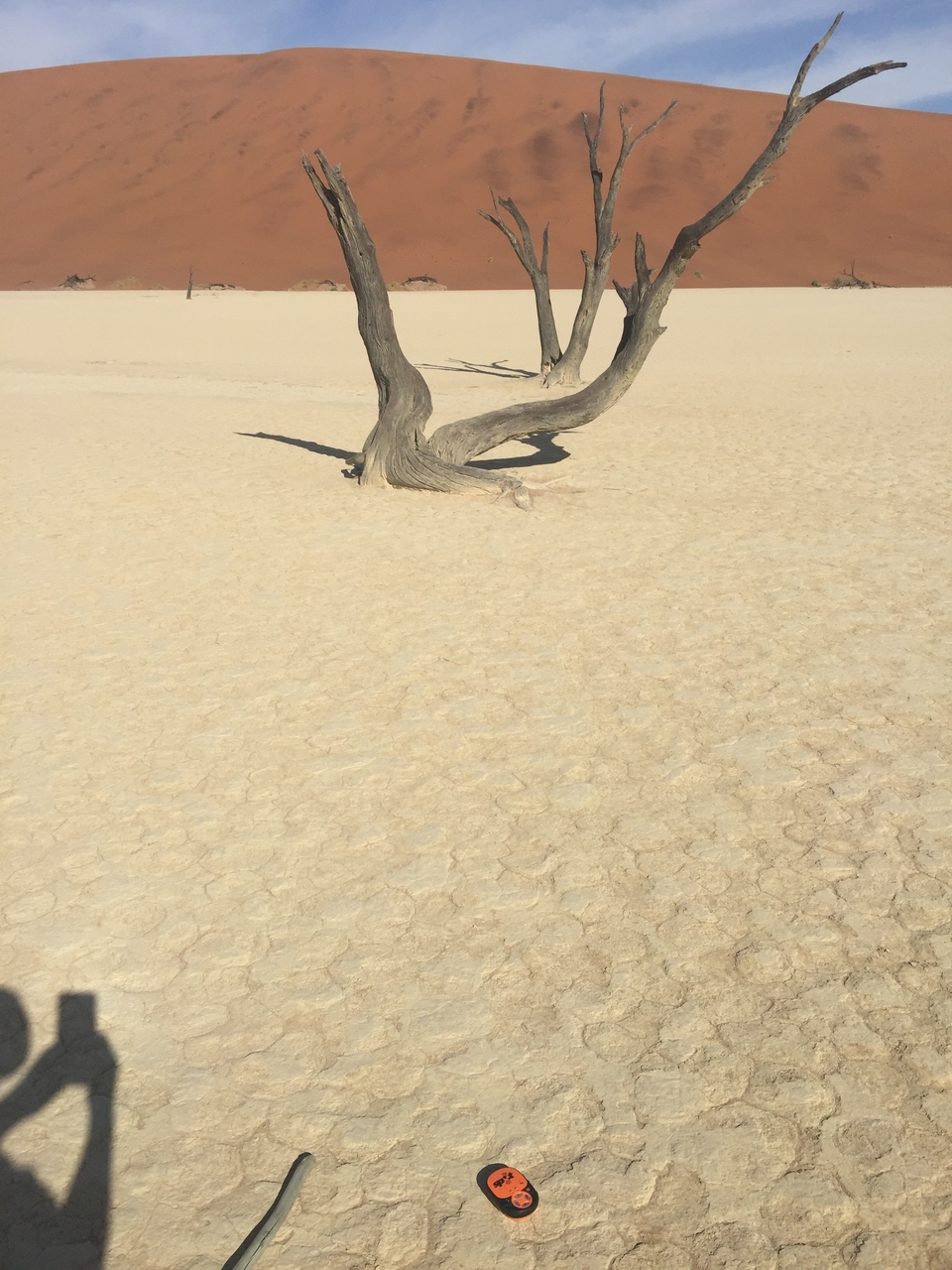 [16176] 2016_06_25_10_04_31_Africa_iPhone_6_Plus_IMG_3690_00301.jpg