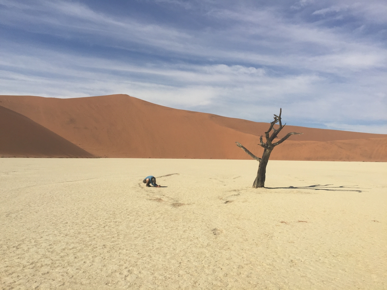 [16188] 2016_06_25_10_04_47_Africa_iPhone_6_Plus_IMG_3691_06886.jpg