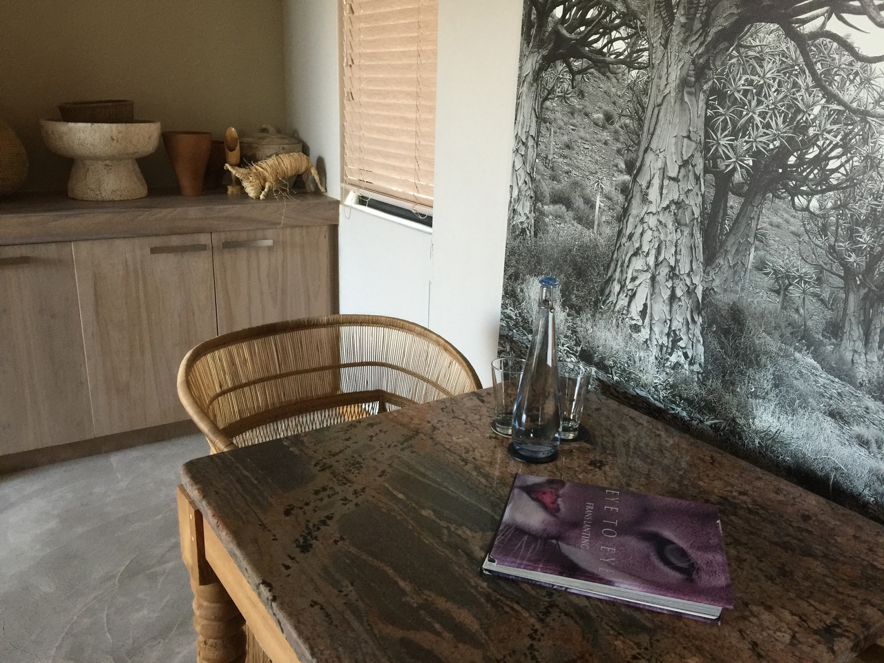 [16626] 2016_06_26_16_15_40_Africa_iPhone_6_Plus_IMG_3726_06916.jpg