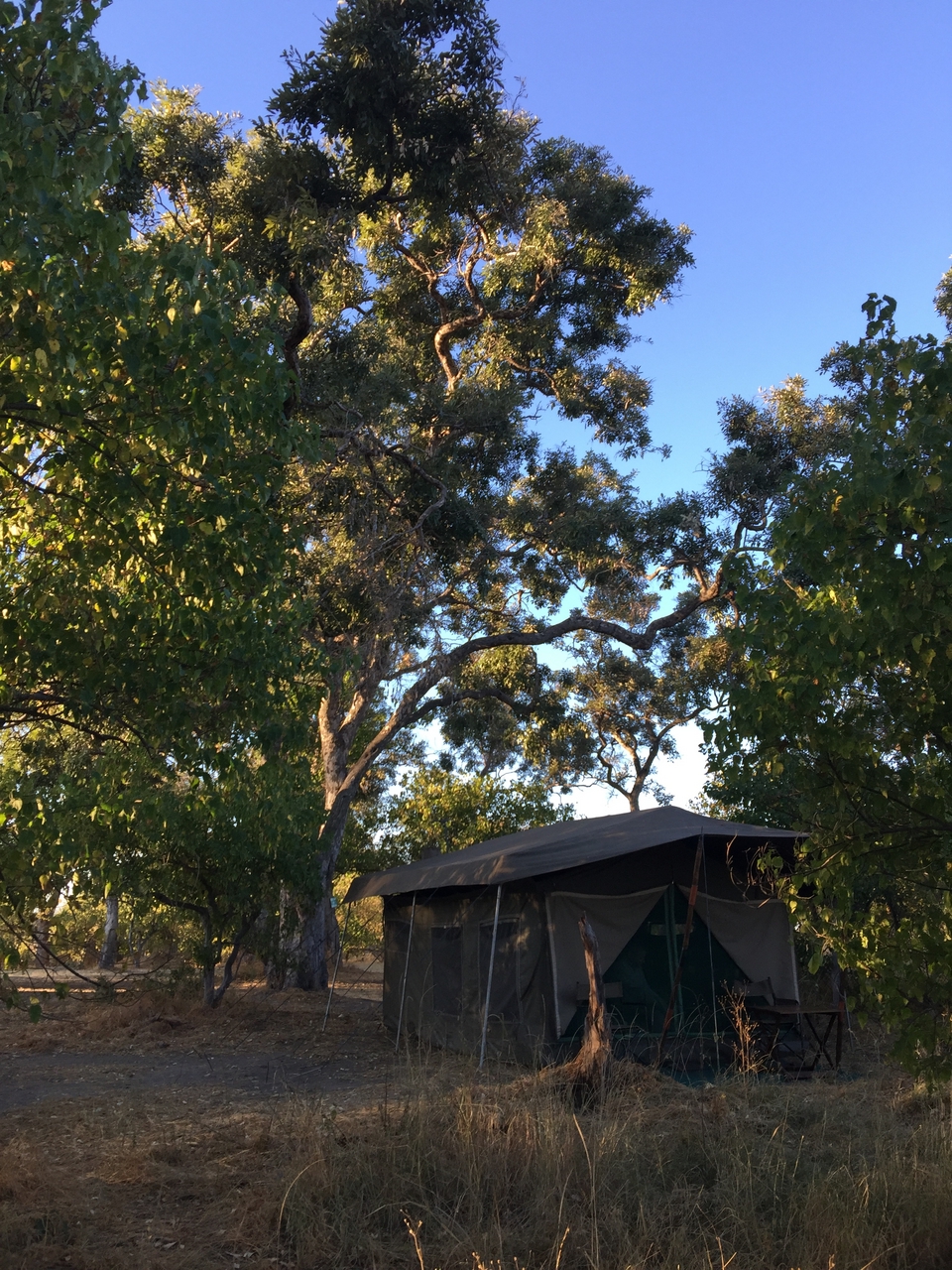 [17294] 2016_06_27_16_20_42_Africa_iPhone_6_Plus_IMG_3764_06943.jpg