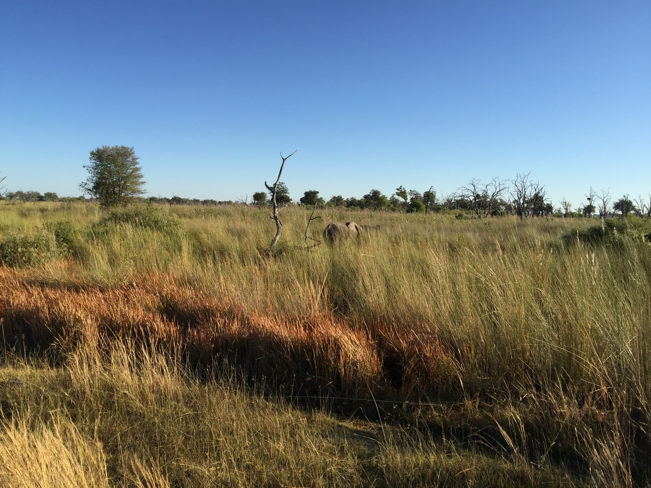 [19836] 2016_06_28_07_16_02_Africa_iPhone_6_Plus_IMG_3782_06958.jpg