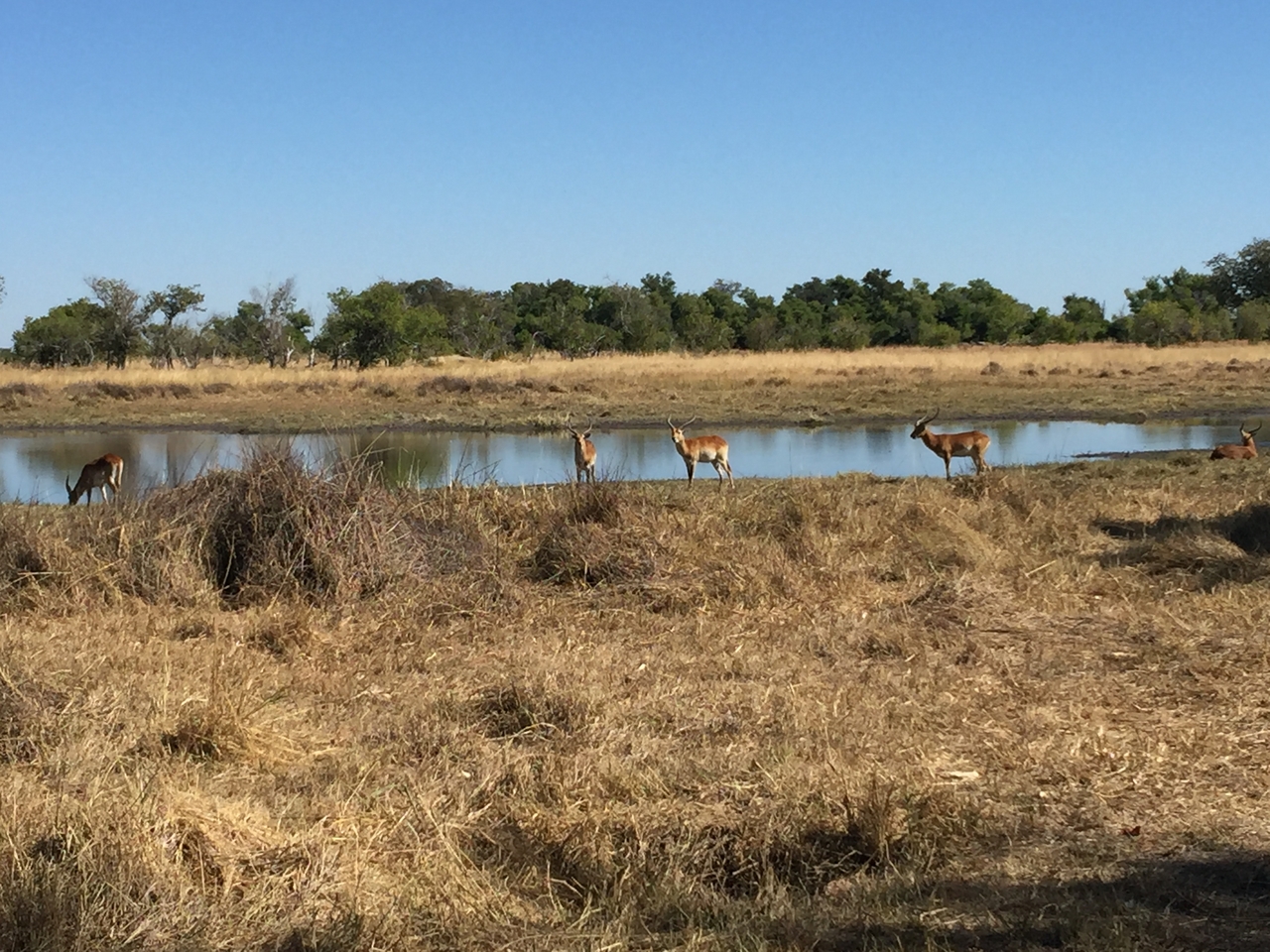 [20024] 2016_06_28_10_33_22_Africa_iPhone_6_Plus_IMG_3828_00386.jpg