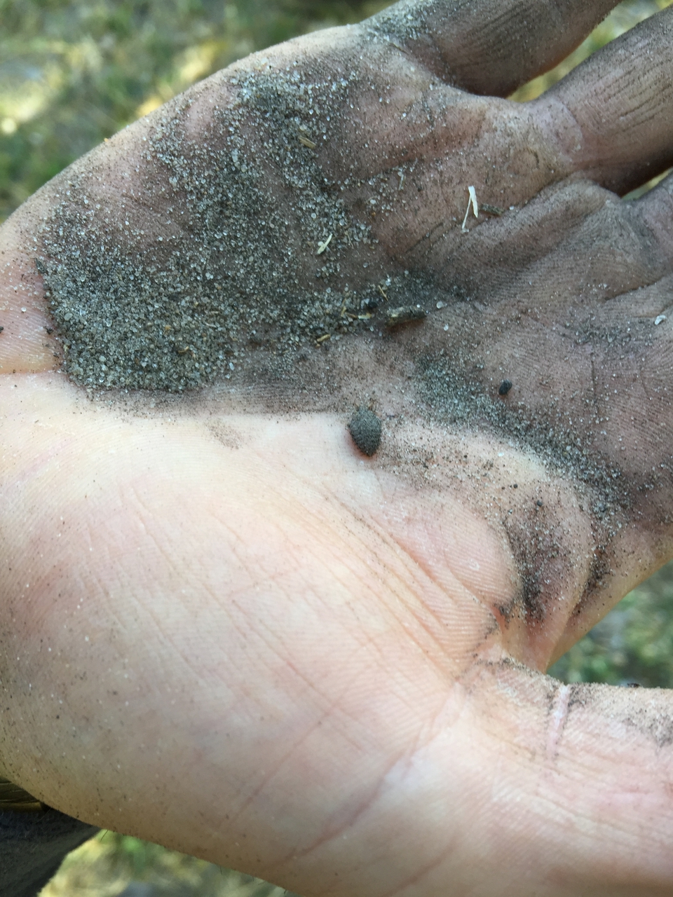 [21453] 2016_06_29_09_54_06_Africa_iPhone_6_Plus_IMG_3866_06997.jpg