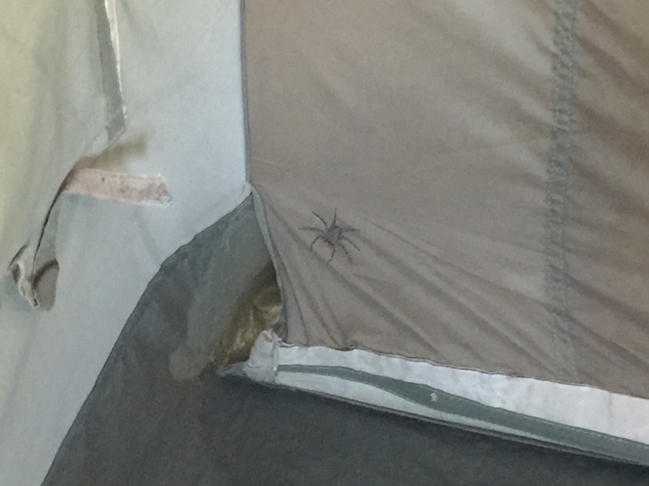 [21915] 2016_06_29_11_54_12_Africa_iPhone_6_Plus_IMG_3869_00415.jpg