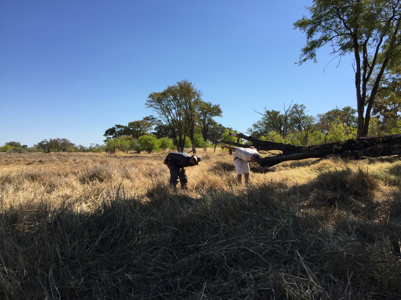 [22180] 2016_06_29_12_47_01_Africa_iPhone_6_Plus_IMG_3876_00421.jpg