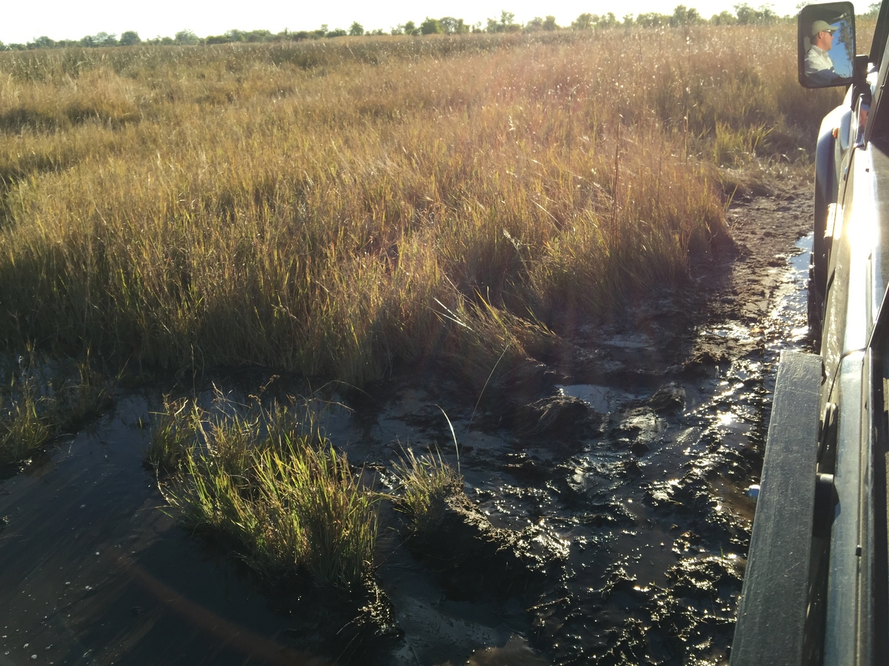 [22206] 2016_06_29_16_50_20_Africa_iPhone_6_Plus_IMG_3885_00428.jpg