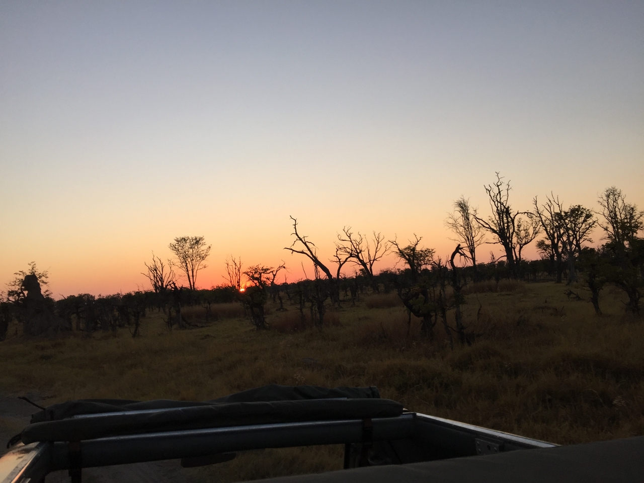 [24612] 2016_06_30_07_02_49_Africa_iPhone_6_Plus_IMG_3907_00435.jpg