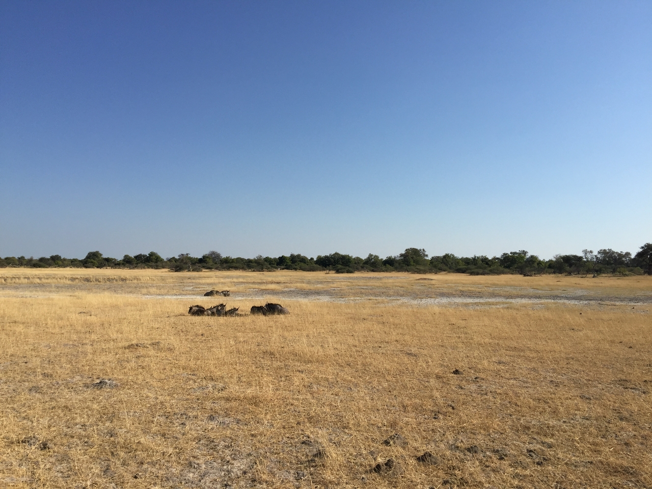 [24798] 2016_06_30_09_26_47_Africa_iPhone_6_Plus_IMG_3931_00445.jpg