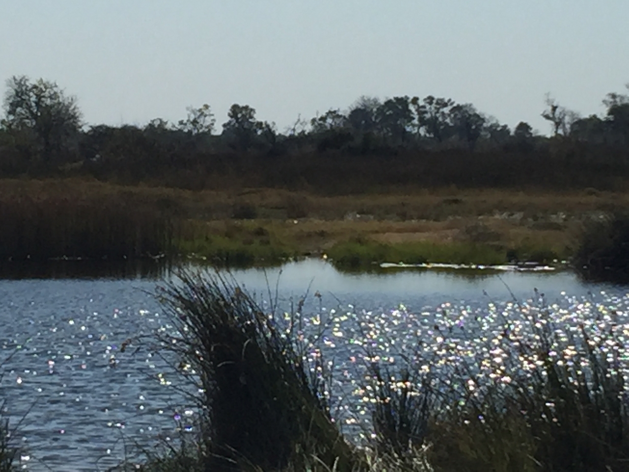 [25195] 2016_06_30_10_55_27_Africa_iPhone_6_Plus_IMG_3943_00453.jpg