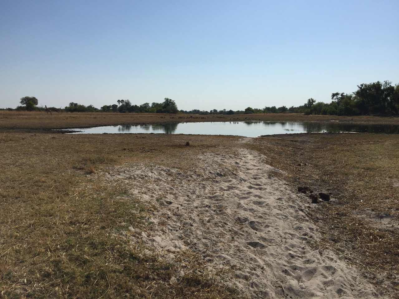 [25315] 2016_06_30_14_55_29_Africa_iPhone_6_Plus_IMG_3978_07056.jpg