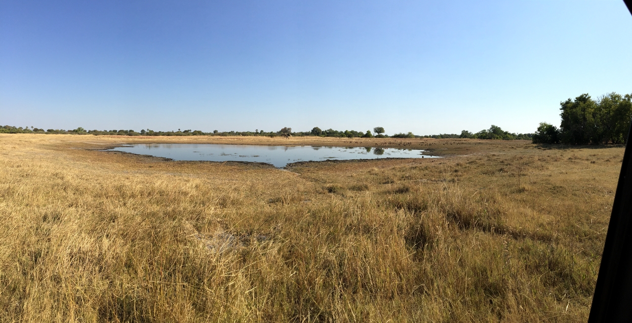 [25319] 2016_06_30_14_58_00_Africa_iPhone_6_Plus_IMG_3980_07058.jpg