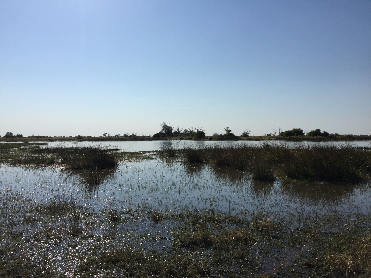 [25787] 2016_06_30_15_08_07_Africa_iPhone_6_Plus_IMG_3983_07061.jpg