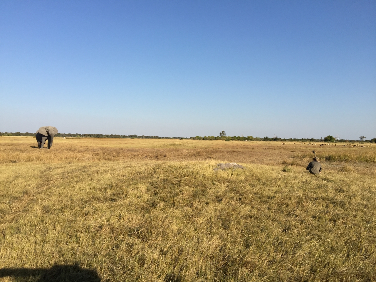 [25813] 2016_06_30_16_01_03_Africa_iPhone_6_Plus_IMG_3995_07068.jpg