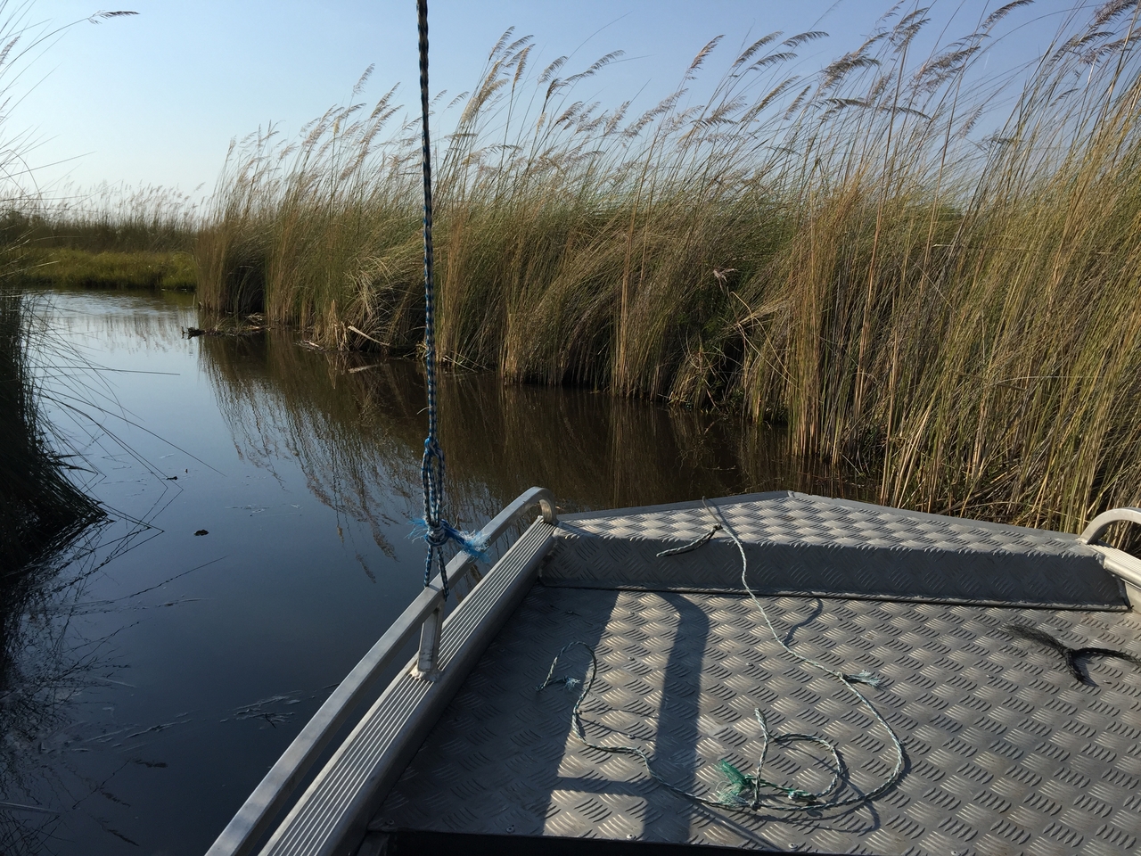 [26922] 2016_07_01_09_31_50_Africa_iPhone_6_Plus_IMG_4006_07074.jpg