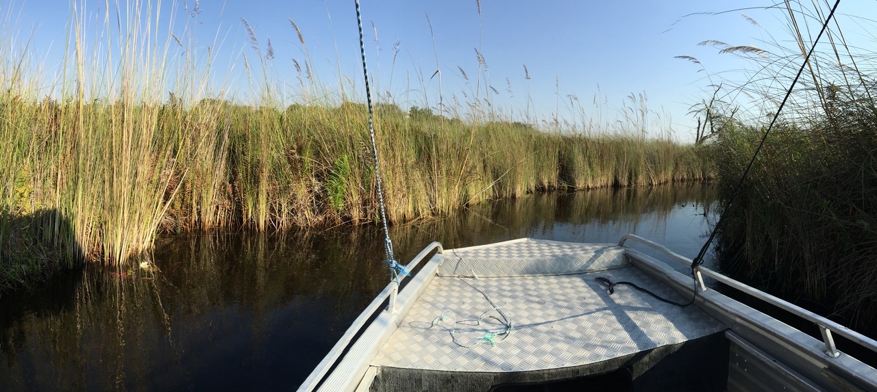 [26925] 2016_07_01_09_36_22_Africa_iPhone_6_Plus_IMG_4008_07075.jpg