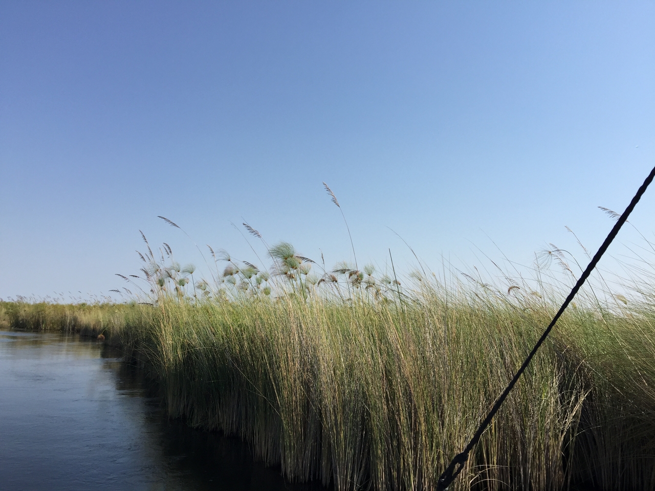 [26953] 2016_07_01_10_42_22_Africa_iPhone_6_Plus_IMG_4035_00009.jpg