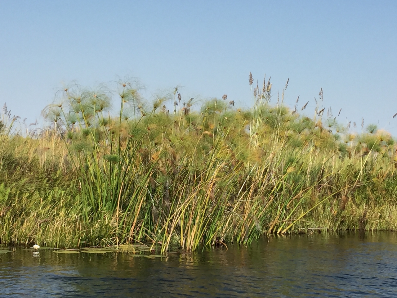 [26956] 2016_07_01_10_42_42_Africa_iPhone_6_Plus_IMG_4036_00010.jpg