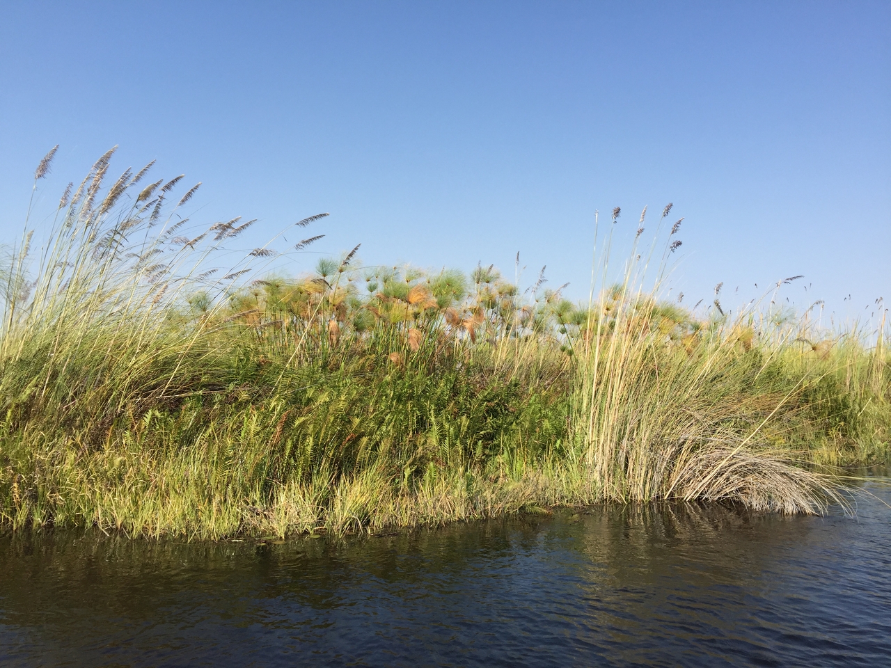 [26959] 2016_07_01_10_42_45_Africa_iPhone_6_Plus_IMG_4037_00011.jpg