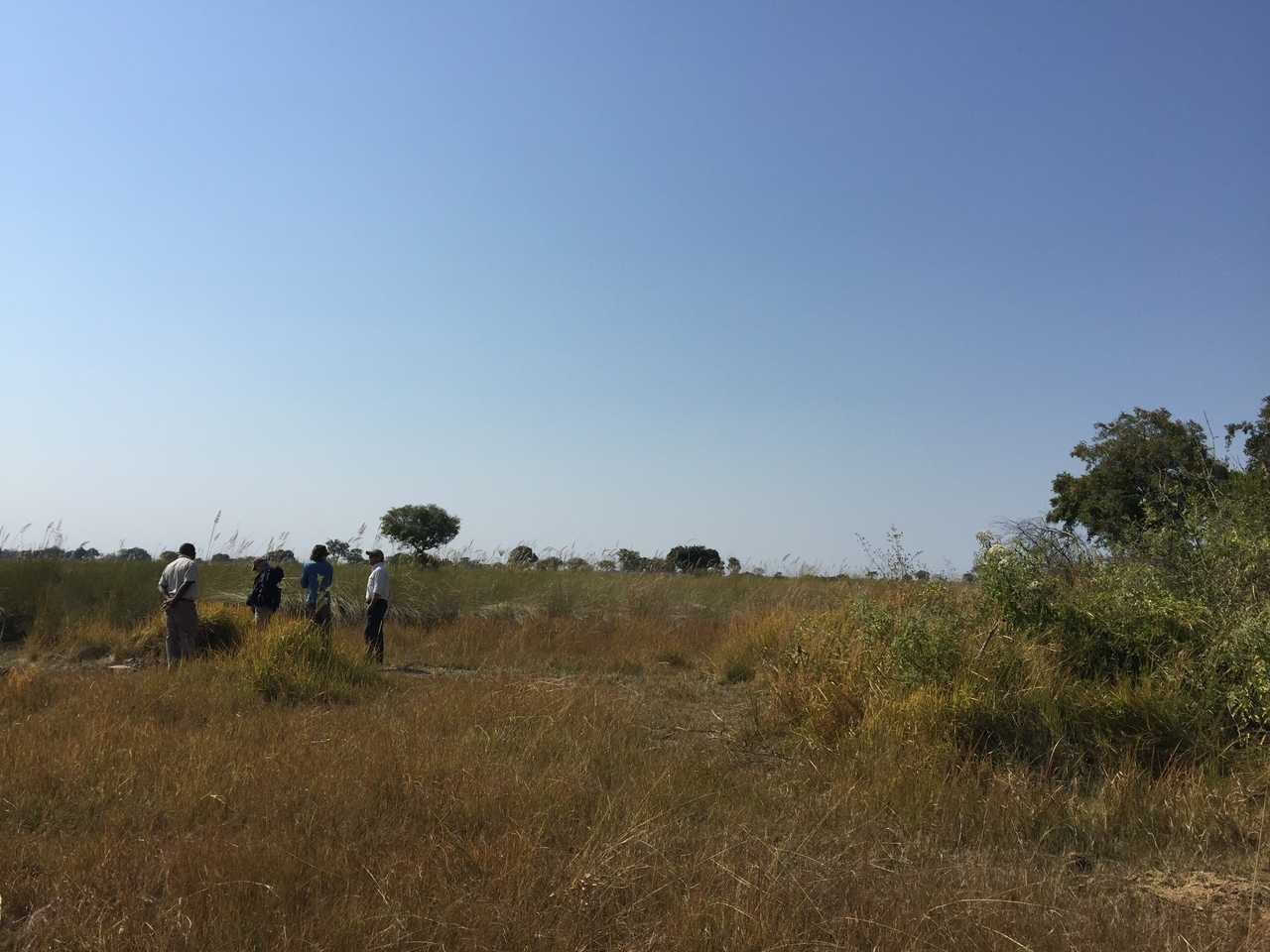 [26965] 2016_07_01_10_57_41_Africa_iPhone_6_Plus_IMG_4041_00013.jpg