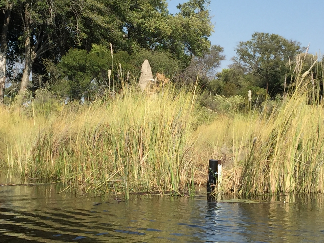 [26970] 2016_07_01_11_00_22_Africa_iPhone_6_Plus_IMG_4042_07086.jpg